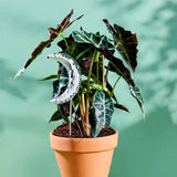 Load image into Gallery viewer, Disco Moon - Disco Ball Decorative Plant Stakes