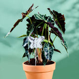 Load image into Gallery viewer, Disco Butterfly - Disco Ball Decorative Plant Stakes